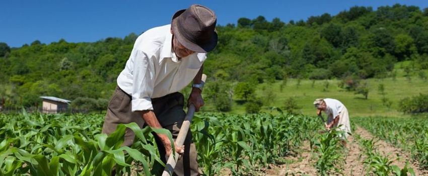 Protección de riesgos del trabajo: El caso peruano
