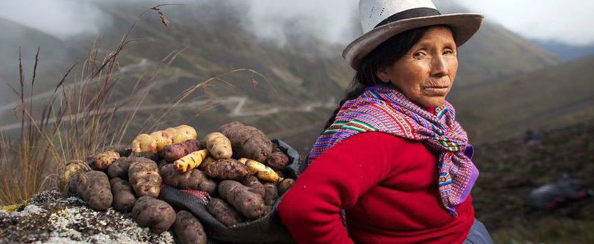 Protección de riesgos del trabajo: El caso peruano